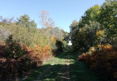 Trail Walking Volvic - VOLVIC Impluvium - Photo