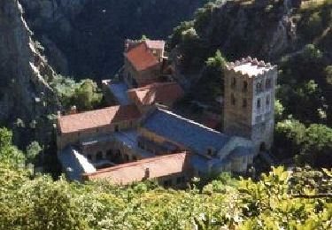 Tocht Stappen Casteil - 6367290-Abbaye st martin du canigou - Photo