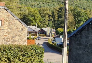 Tour Wandern Érezée - Blier (PVDB) - Photo