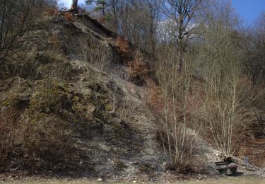 Tour Zu Fuß Wartenberg - Wartenberger Rundweg 3 - Photo