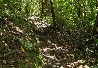 Tour Wandern Saint-André - Boucle de Dioré - Photo