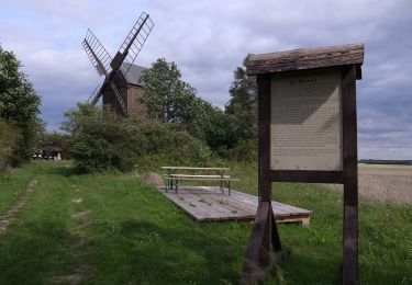 Tour Zu Fuß Wiesenburg/Mark - Kunstwanderweg Hoher Fläming - Photo