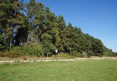 Excursión A pie Neumarkt in der Oberpfalz - Lengenbachtalweg - Photo