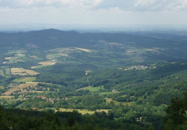 Tocht Mountainbike Saint-Nicolas-des-Biefs - Des Eoliennes au Gué de la Chaux - Photo