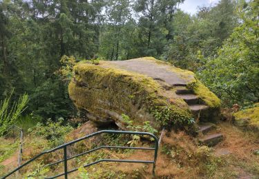 Percorso Marcia La Petite-Pierre - petite boucle au dessus de la clairière  - Photo