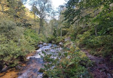 Tour Wandern Luzenac - sauzay - Photo