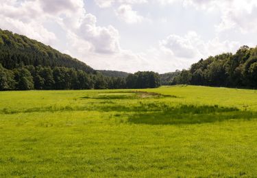 Tour Zu Fuß Lichtenau - Holtheim Rundweg A2 - Photo