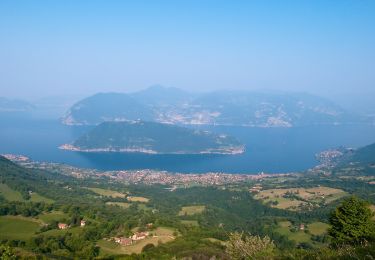 Tocht Te voet Sale Marasino - Malghe in Rete - Anello 1 - Punta Almana - Photo