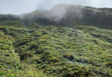 Trail Trail Saint-Claude - Beausoleil  - Photo