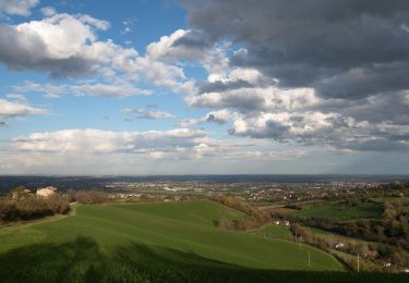 Tour Zu Fuß Albinea - Borzano - Ca' dei Duchi - Bellavista - Ca' del Vento - Giareto - Borzano - Photo