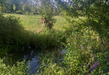 Randonnée Marche Arçais - Arçais 10 kms - Photo