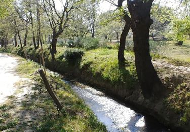 Excursión A pie Perpiñán - Boucle dans PERPIGNAN - Photo