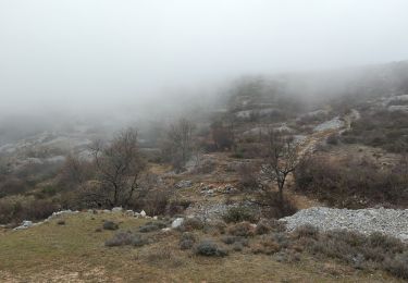 Trail Walking Cipières - Cipieres - Calern observatoire - Photo
