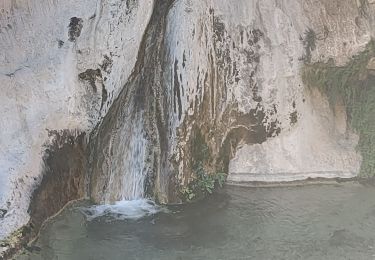 Excursión Senderismo Lentegí - Poza de las animas   - Photo
