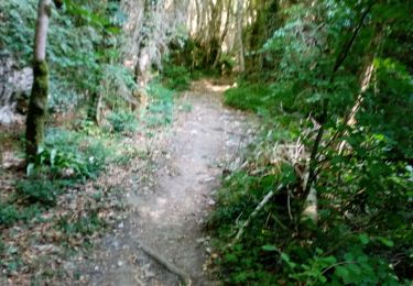 Tocht Stappen Plan-de-Baix - Le Canyon des Gueulards - Photo