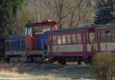 Randonnée A pied Jílové u Prahy - [M] Luka pod Medníkem - Těptín - Photo