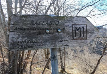 Trail On foot Lecco - Antica Strada Comunale di Morterone - Photo