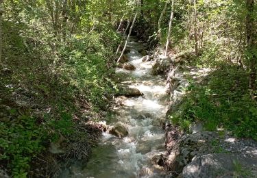 Tocht Stappen Savines-le-Lac - Serre-Ponçon 04 06 2024 (Savine le lac) - Photo