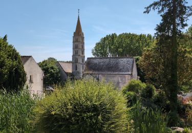 Tocht Stappen Azay-sur-Cher - Azay-sur-Cher - Brandon Truyes le Grais - 23.7km 185m 5h25 (50mn) - 2025 05 18 - Photo