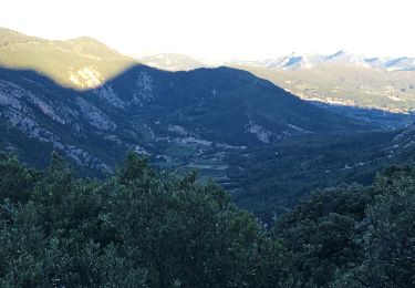 Tocht Trail Beaumont-du-Ventoux - Ventoux-05072020 - Photo