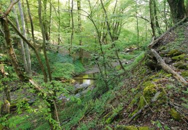 Tour Wandern Loire-sur-Rhône - 69-Loire-sur-Rhone-17km-480m-avr22 - Photo