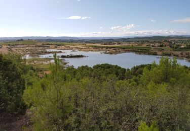 Tour Wandern Argens-Minervois - Argens - Photo