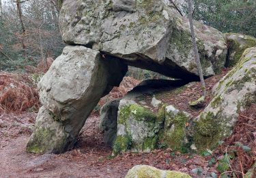 Randonnée Marche Fontainebleau - canon - Photo