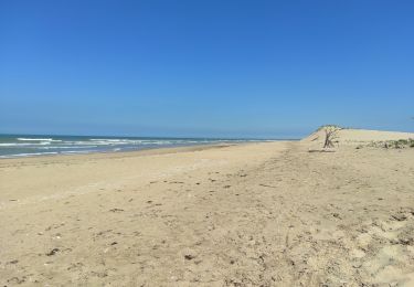 Tocht Stappen Le Grand-Village-Plage - Grand Village plage - Photo