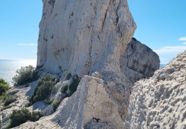 Randonnée Marche Marseille - balade dans les calanques - Photo