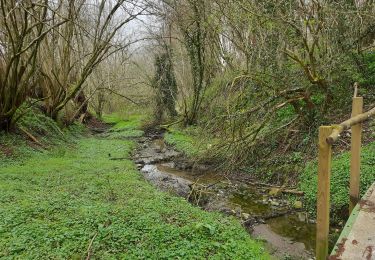 Randonnée Marche Modave - Pont-de-Bonne - Photo