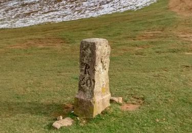 Randonnée A pied Sare - Chemin des Palombières - Photo