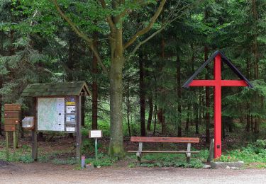 Tour Zu Fuß Eidenberg - Kopfwehsteinweg - Photo