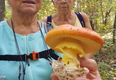 Trail Walking Saint-Robert - hantayo - Photo