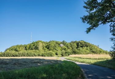 Trail On foot Hollfeld - Kuckuckswege rund um Busbach Nr. 4 - Photo