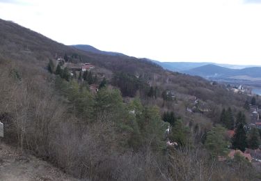 Tour Zu Fuß Zebegény - Zebegényi körséta - Photo