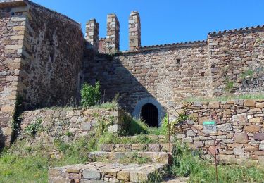 Percorso A piedi Calonge i Sant Antoni - SL-C 29 Estanyots del Castell - Photo