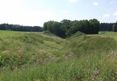 Trail On foot Pappenheim - Ortswanderweg Pappenheim 12 - Photo