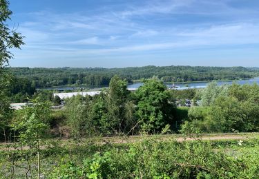 Tocht Stappen Chamouille - Le monument d’Aille - Photo