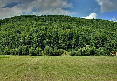 Excursión A pie  - Câmpu Cetății - Culmea Tâmpa - Eremitu - Photo