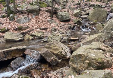 Randonnée Marche Spa - Source de la geronster  - Photo