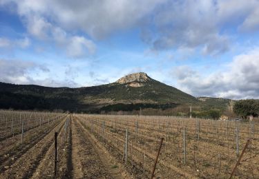 Trail Walking Cabrières - Le Vissou par les crêtes - Photo