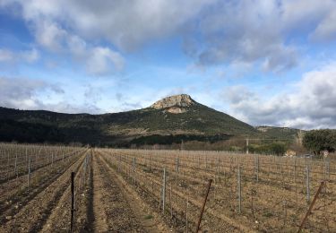 Excursión Senderismo Cabrières - Le Vissou par les crêtes - Photo