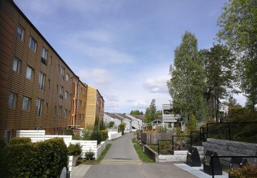 Tour Zu Fuß  - Oldtidsveien over Hvitebjørn og Svartskog (tur) - Photo