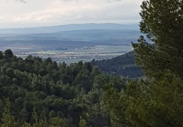 Tour Wandern Manosque - 1Gaude, boucle de Montaigu.  - Photo