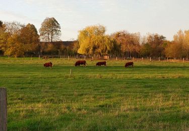 Tour Wandern Vernou-sur-Brenne - Vaugondy Vernou - Reugny - 24.9km 315m 5h30 (30mn) - 2022 11 13 - Photo