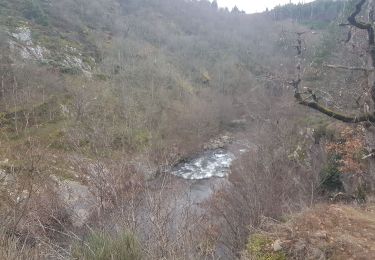 Randonnée Marche Saint-Jean-du-Bruel - gorges de la Dourbies  - Photo