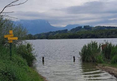 Tour Wandern Saint-Pierre-de-Soucy - Tour du lac Ste Hélène  - Photo