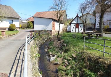 Tocht Te voet Steinau an der Straße - Steinau a. d. Straße, Wanderweg 8 - Photo