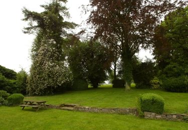 Tocht Te voet Tongeren - Rond de bronnen van de Mombeek - Photo