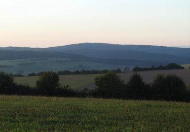 Tocht Te voet Mittelsinn - Schachblumenweg - Photo